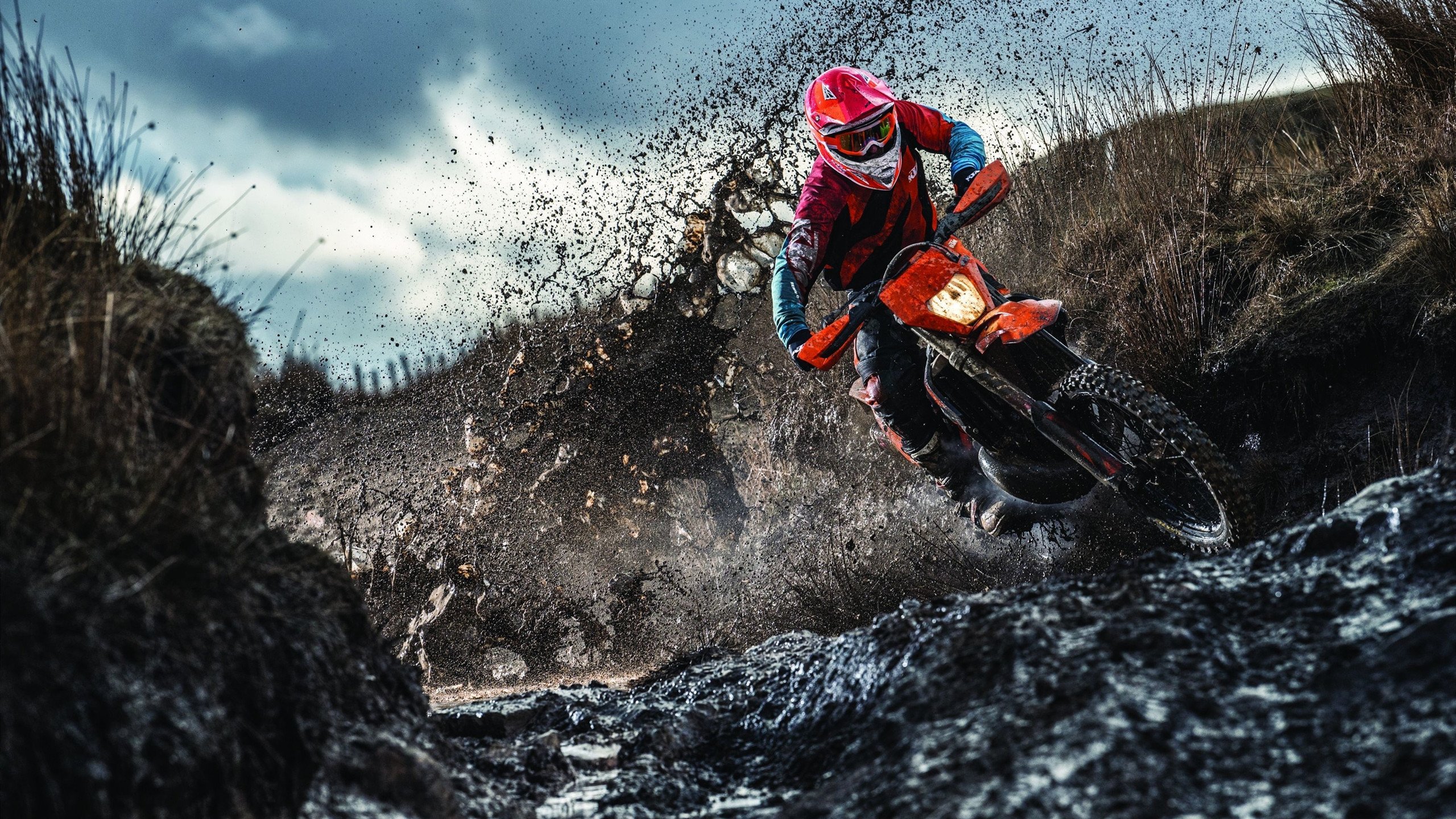 未来之星计划,青少年篮球培养新模式,未来星篮球培训